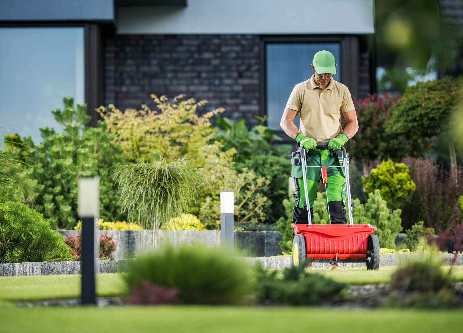 home-decor-and-garden